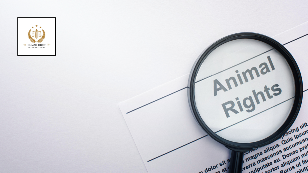 Animal Rights in Islam and UN Charter